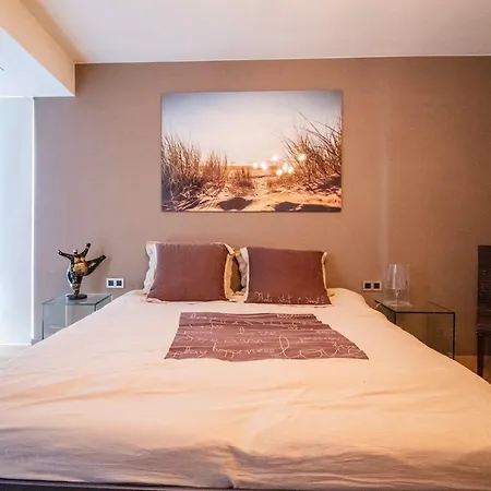Appartement Zeezicht Sibeac *